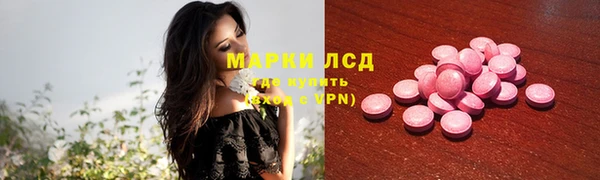 дмт Богданович