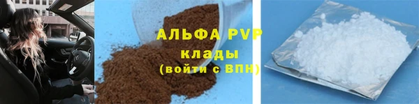 дмт Богданович