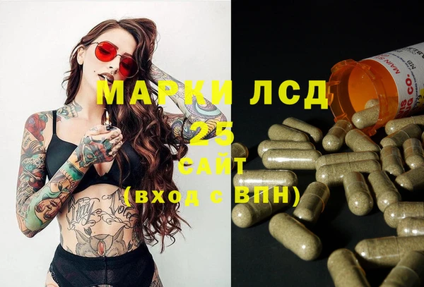 дмт Богданович