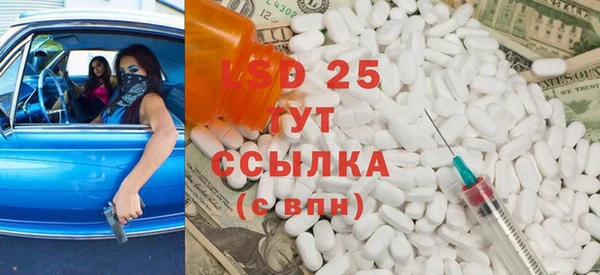 дмт Богданович