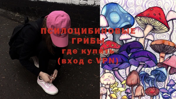 дмт Богданович