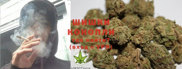 ГАЛЛЮЦИНОГЕННЫЕ ГРИБЫ Белокуриха