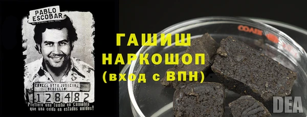 дмт Богданович